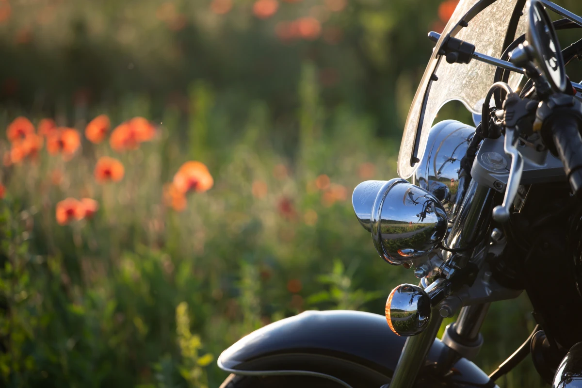 Rouler sans casque : Quand l'imprudence se paie au prix fort